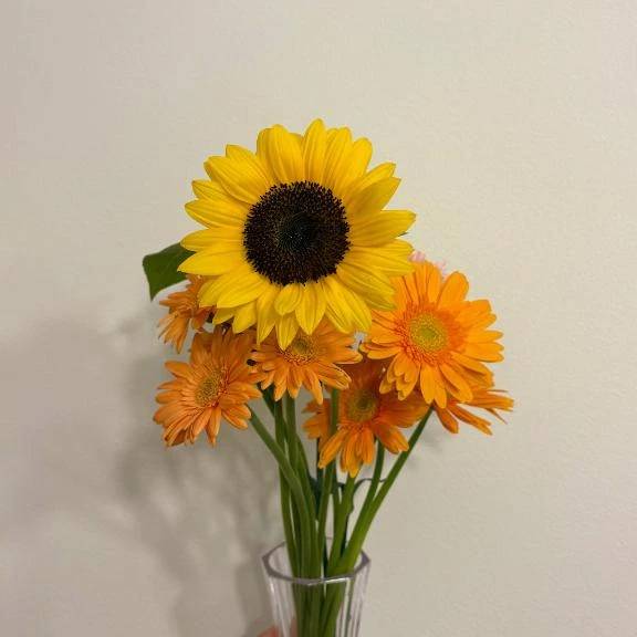 癒し🌻