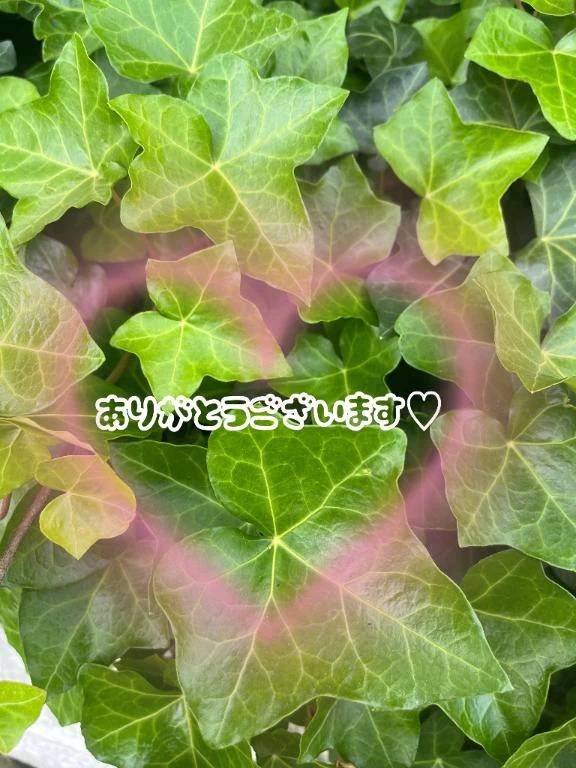 今日から9月♡