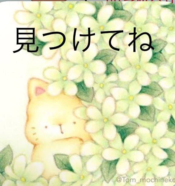 どれどれ？？？