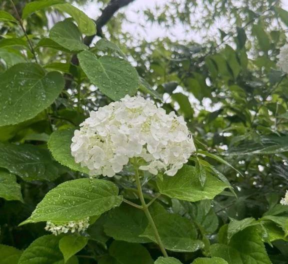ありがとうございました