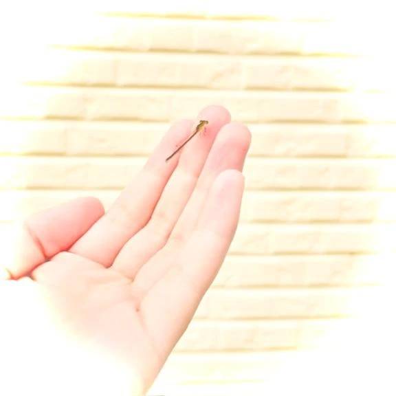 小さい。。。