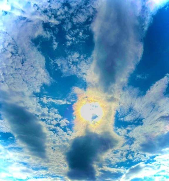 🔅本日出勤日🔅