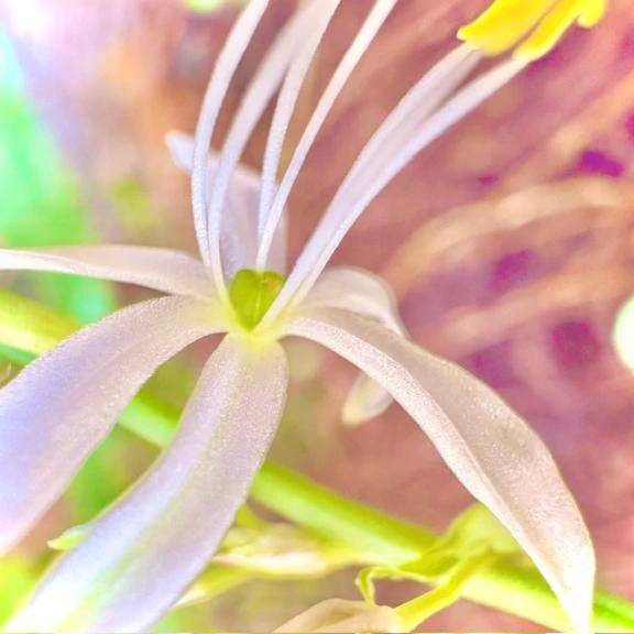 🍀今日のお礼🍀