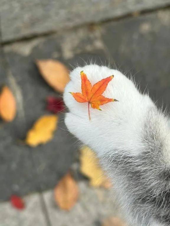 熱くてびっくり