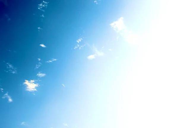🔅本日出勤日🔅