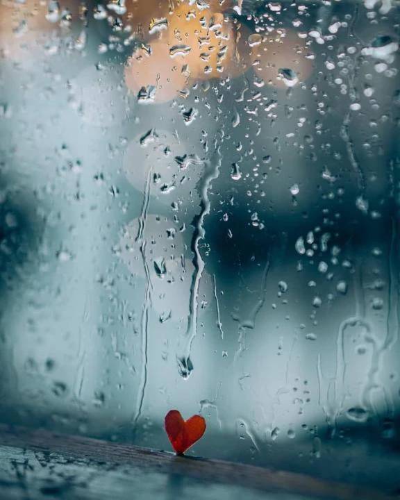 雨の日のいいところ☔️