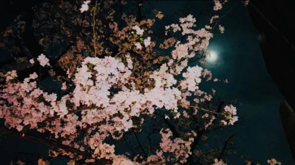 🌸