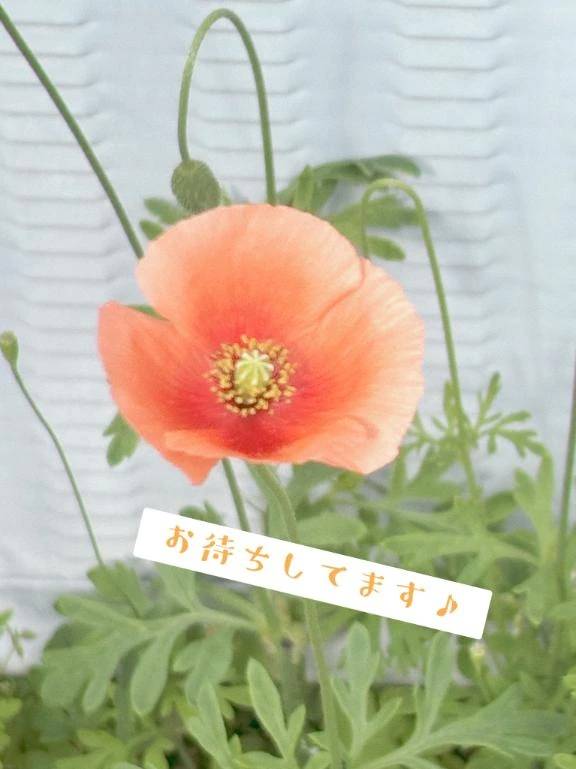 昨日もありがとうございました