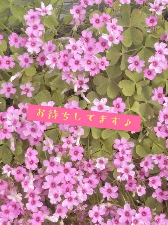 19日もありがとうございました