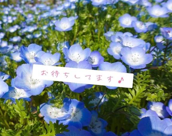 明日も来ます💓