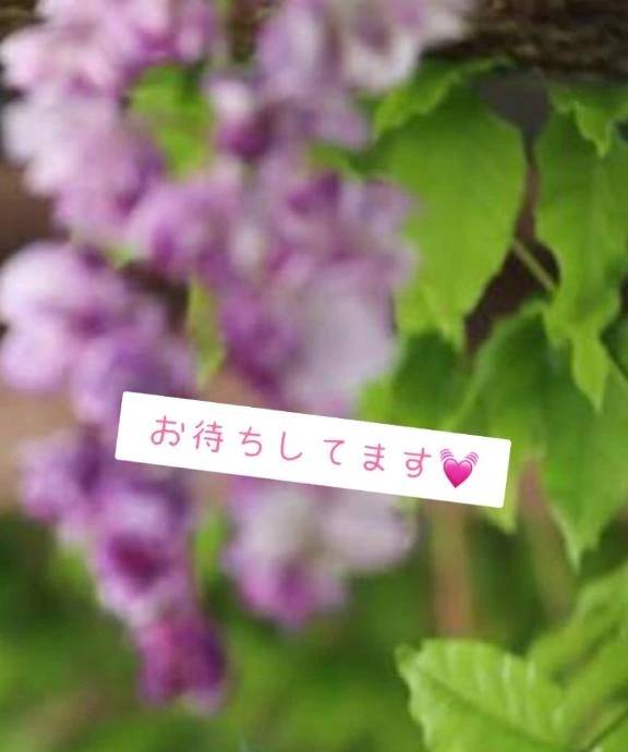 16日来ます💓