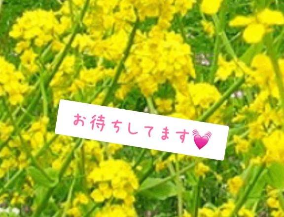 22日きます