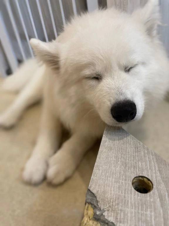 最短17:45〜♡