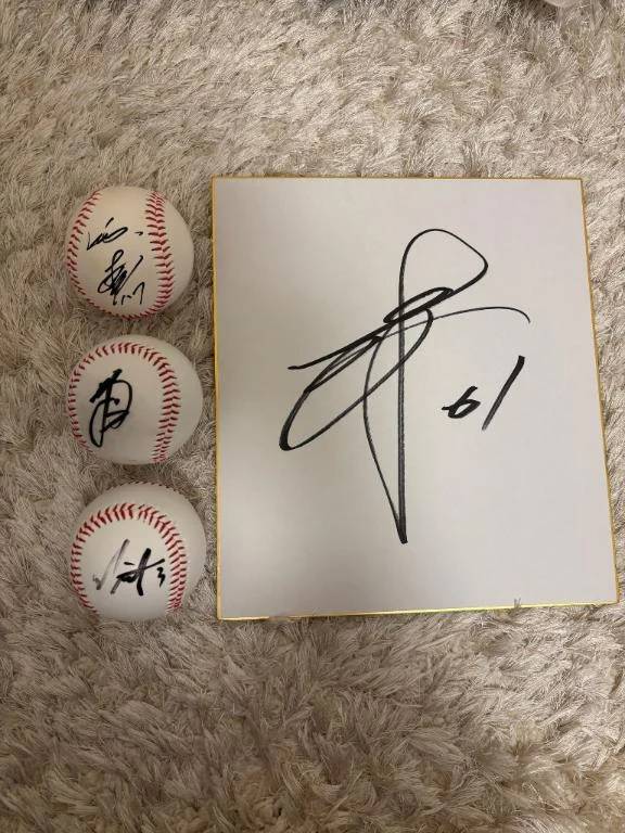 鎌ヶ谷での収穫⚾️
