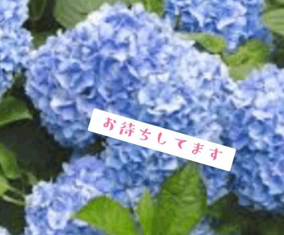 お待ちしてます