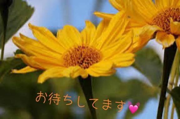 17日もお待ちしてます