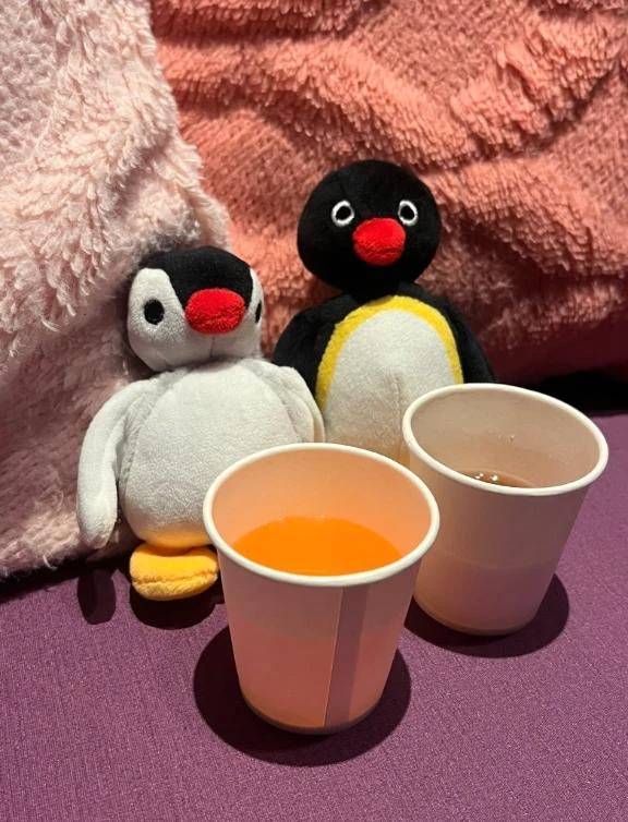 しゅっしゃ🐧🐧