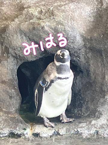 退勤します‪🐧