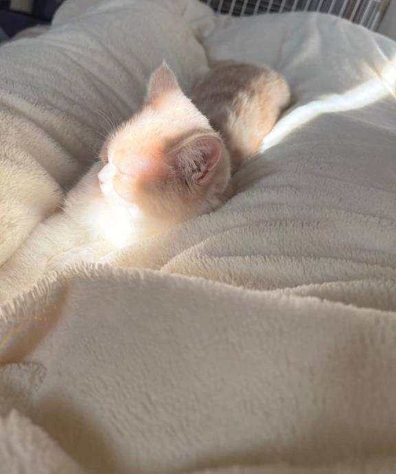 退勤🙇🏻‍♀️💖