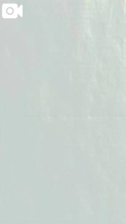 1月の動画見た？