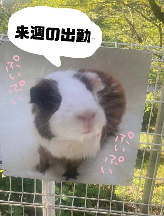 来週のシフト📝