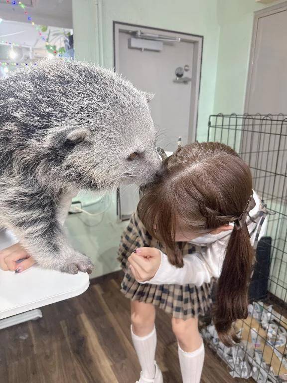 かじらないでー！