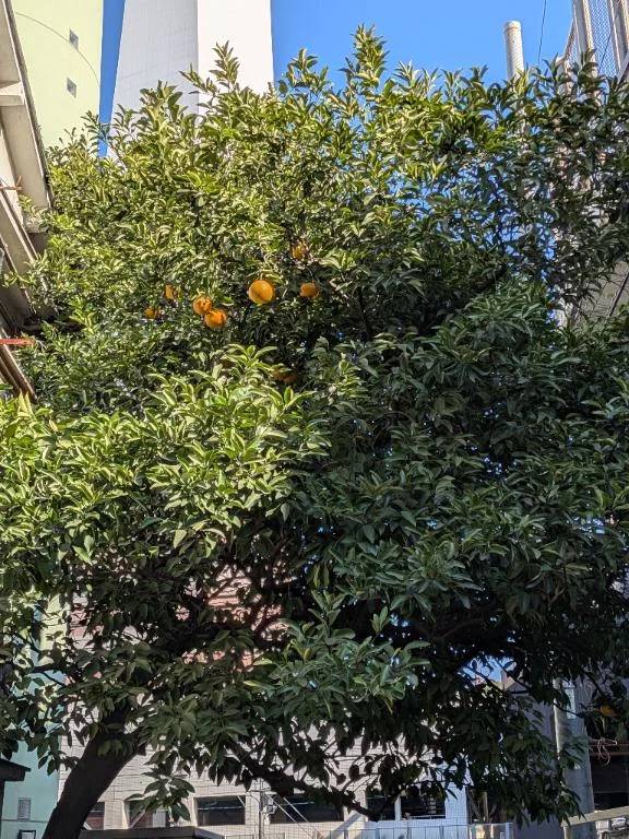 そういう時期？