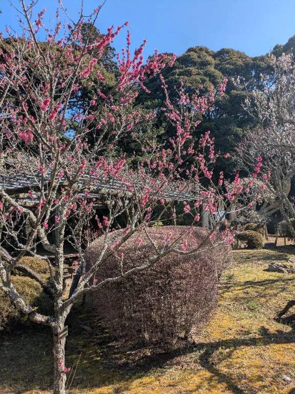 2月もありがとう❤