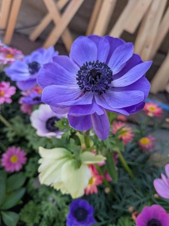 うわぁーん💦早退します