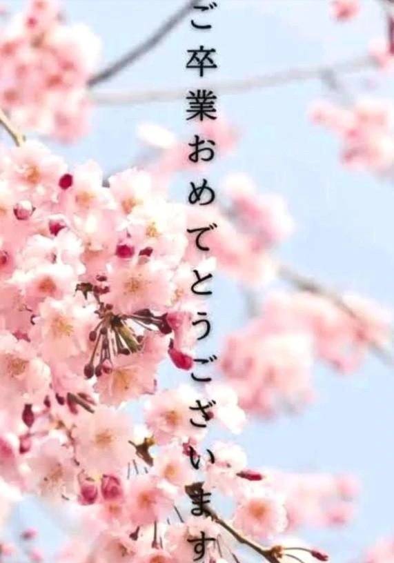 おめでとうございます