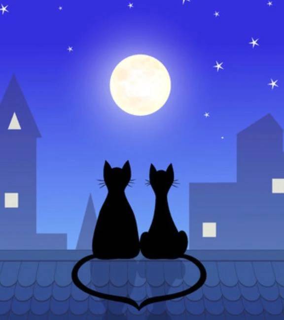 おやすみなさい💤