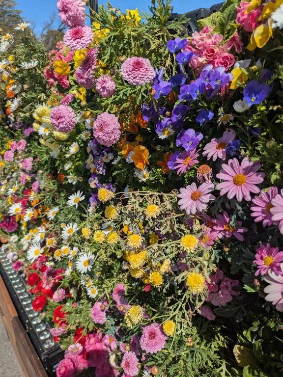 完売ありがとう‎🩷