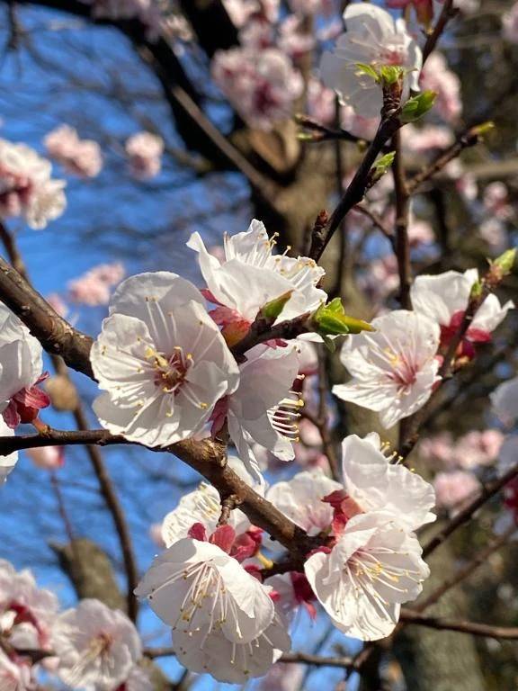 お休み期間中💤