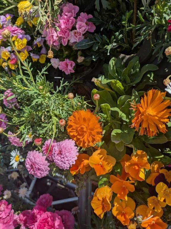 金曜日、完売🫶︎💕︎︎