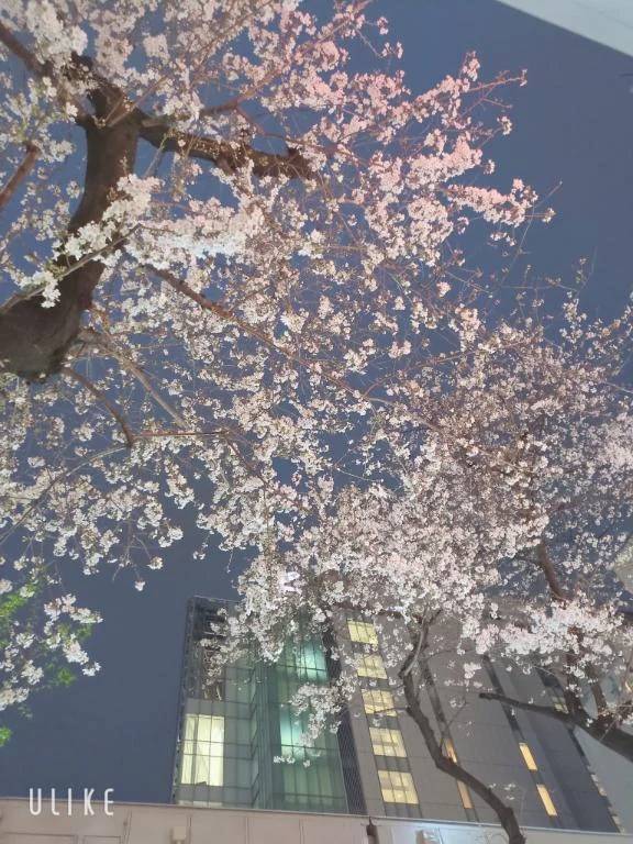 春感じちゃった♡