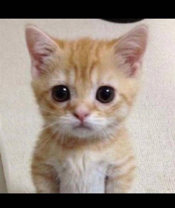 満員御礼♡急遽！明日！？