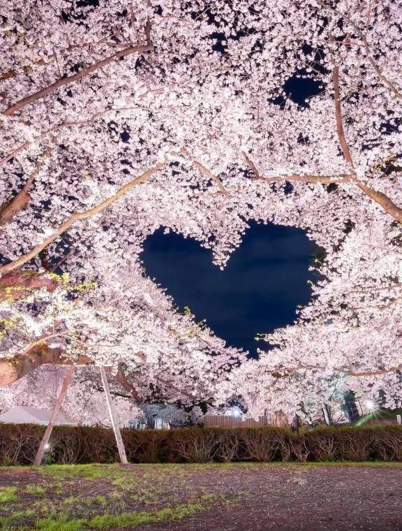 3月もありがとうございました🩷