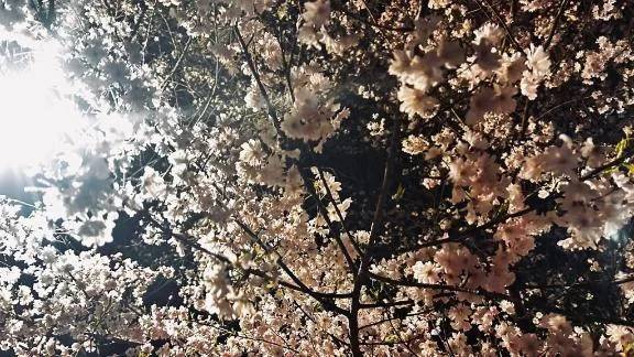 本日まで♥️