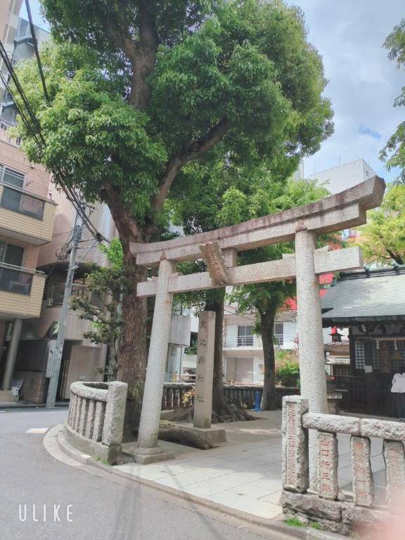 大安の今日に♡