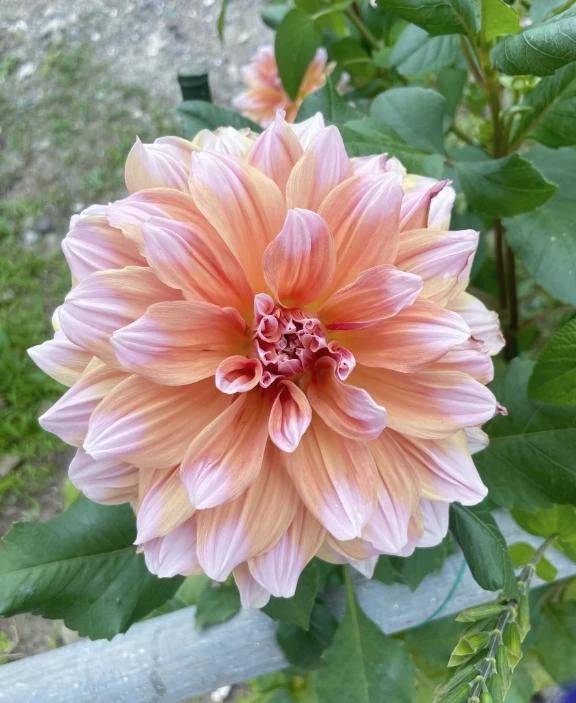 昨日のお礼💌ありがとう