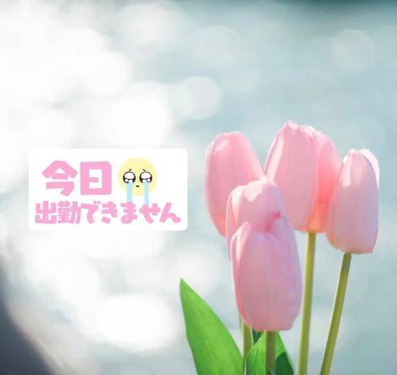 ごめんなさい🙇‍♂️