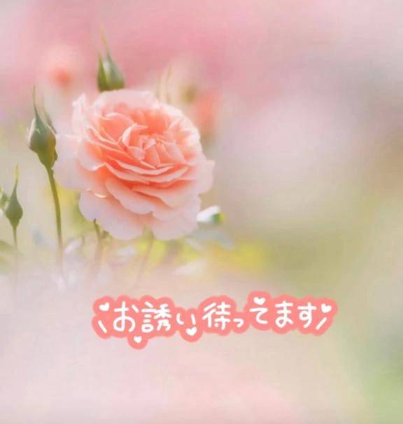 ミテネ💕