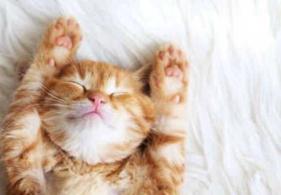 おやすみなさい💤