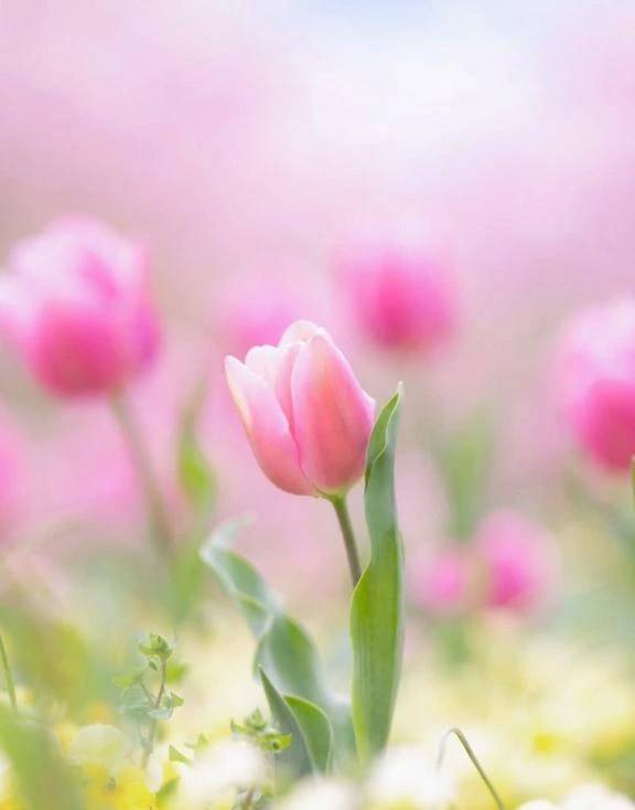 4月もありがとうございました💕