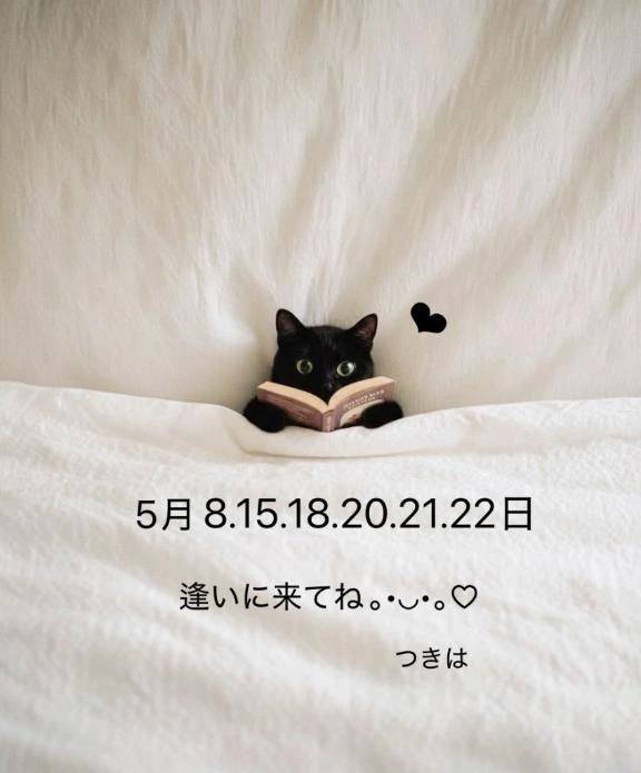 御予定の調整に感謝( ღ'ᴗ'ღ )