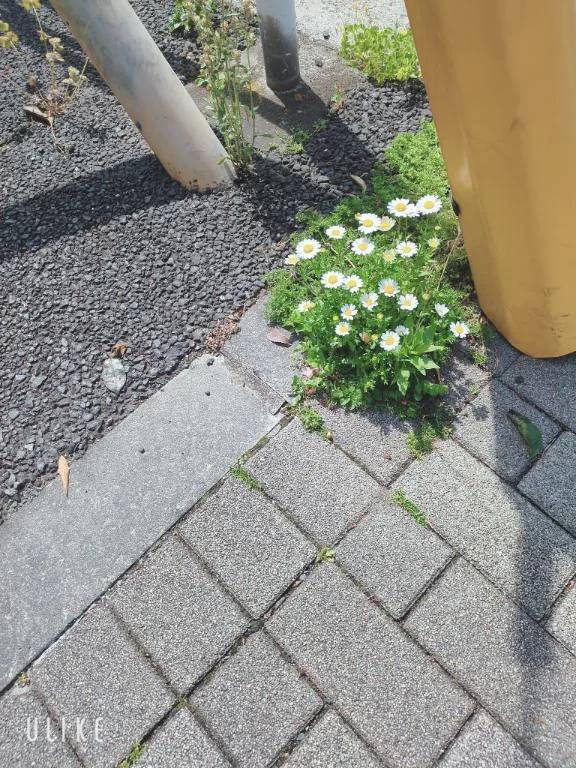 心しておきたいこと♡