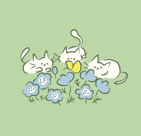 ミテネ💕
