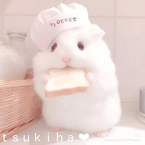 お兄様方おはようございます◟́◞̀♥︎