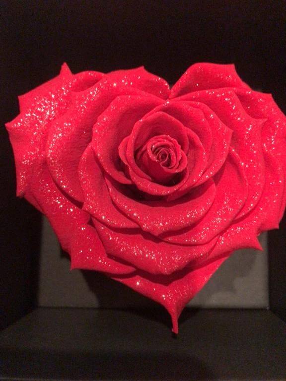 ありがとう🌹