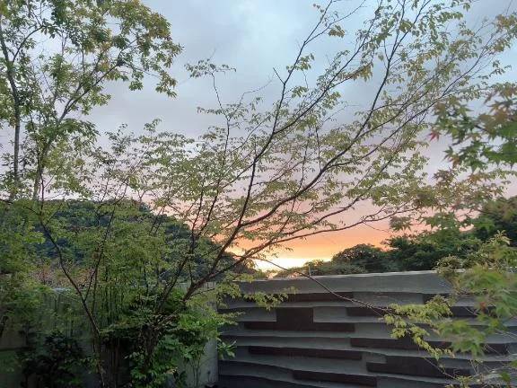 おはよん❤️